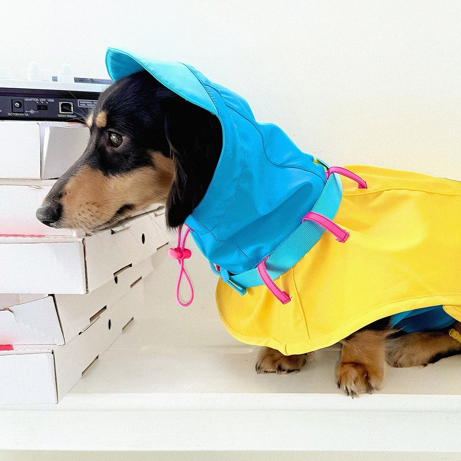 Colorblock Waterproof Raincoat for Dachshunds – Adjustable Outdoor Jacket - PIKAPIKA