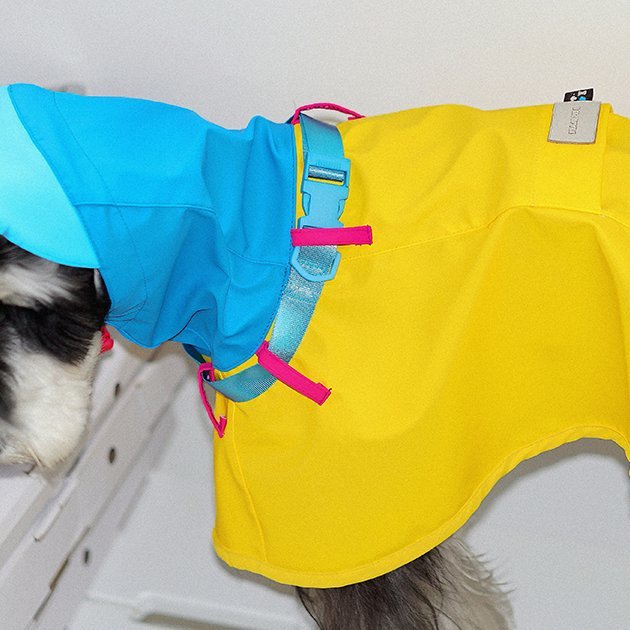 Colorblock Waterproof Raincoat for Dachshunds – Adjustable Outdoor Jacket - PIKAPIKA