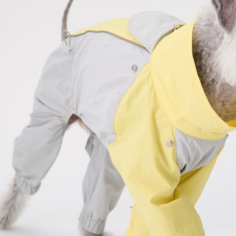 Colorful Raincoat Bedlington Dog Clothes - PIKAPIKA