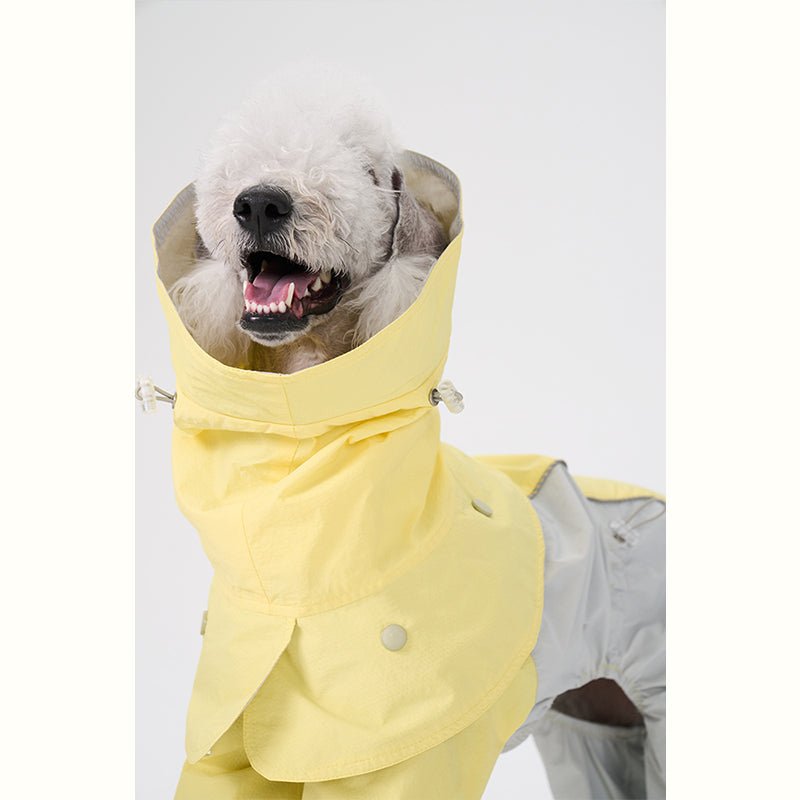 Colorful Raincoat Bedlington Dog Clothes - PIKAPIKA