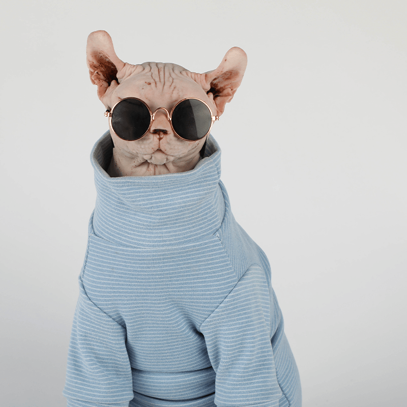 Cool Sphynx Cat Hoodie Pullover Sleeveless Top Devon Rex Clothes - PIKAPIKA