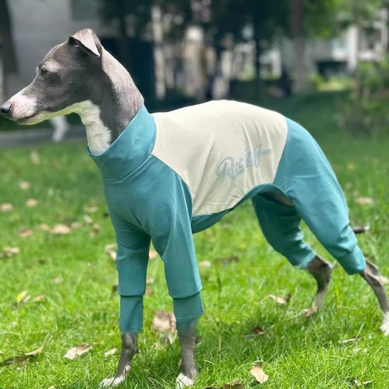 Cool Thin Onesies, Italian Greyhound Whippet Dog Quick - drying Clothes - PIKAPIKA