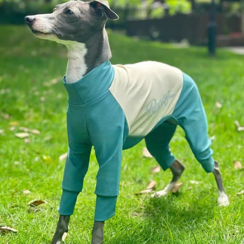 Cool Thin Onesies, Italian Greyhound Whippet Dog Quick - drying Clothes - PIKAPIKA