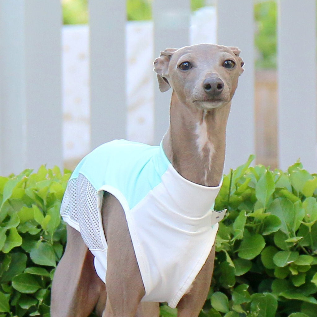Cooling Colorblock Vest Summer Breathable Shirt for Italian Greyhound Whippet - PIKAPIKA