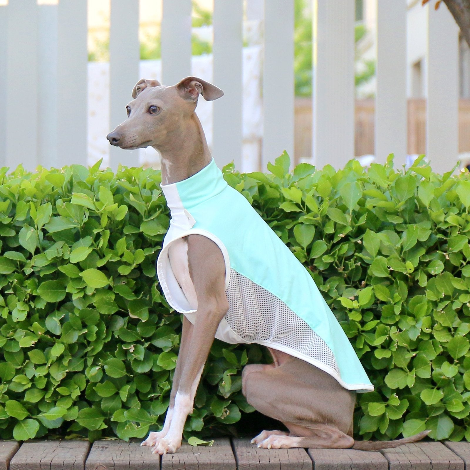 cooling-colorblock-vest-summer