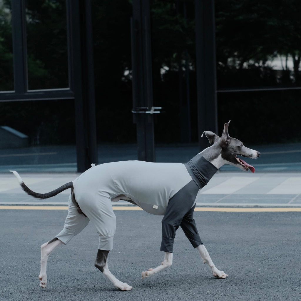 Cooling Quick - Dry Anti - Bug Jumpsuit For Italian Greyhounds & Whippets - PIKAPIKA