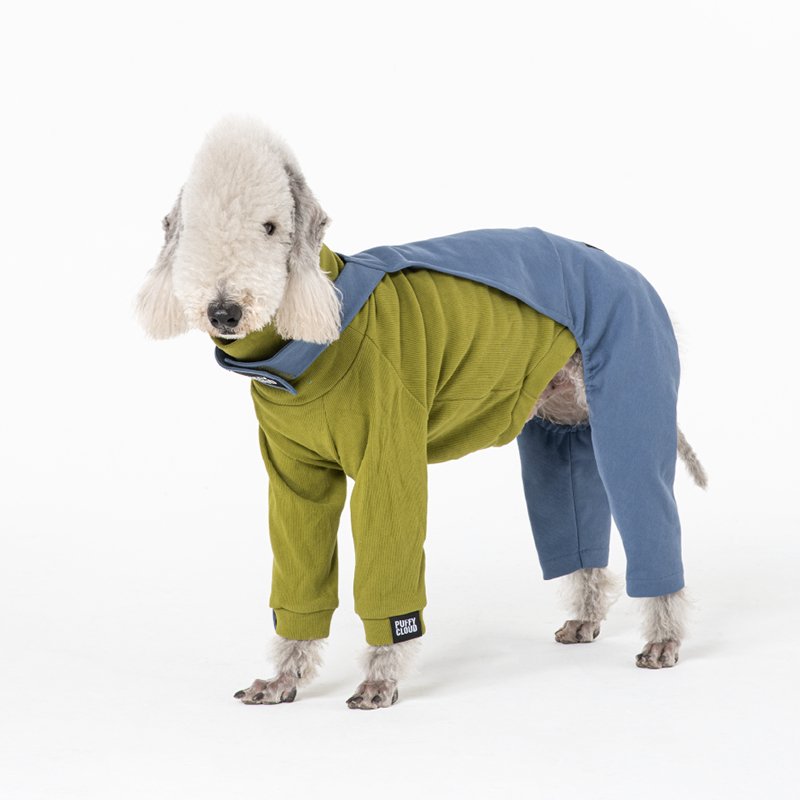 Cotton Denim Pants Onesie Bedlington Dog Clothes - PIKAPIKA
