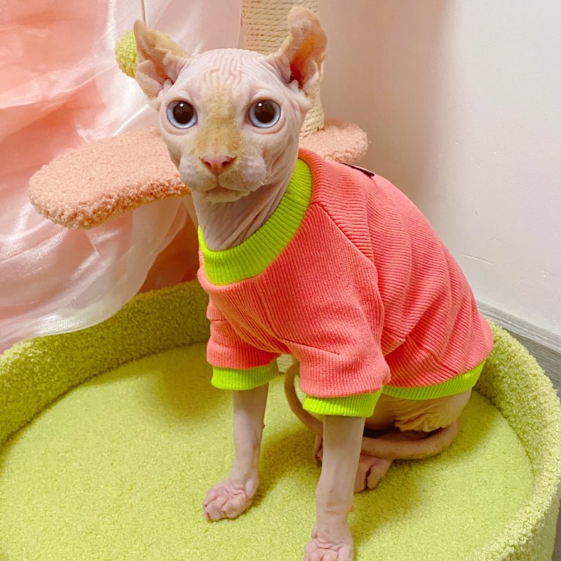Cotton Elastic Shirts for Sphynx Cat Devon Rex Clothes Colorful Clothing - PIKAPIKA