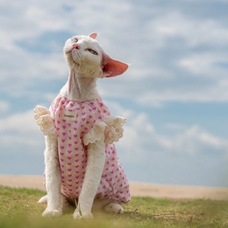 Cotton Heart Print Doll Shirt Loose Summer Vest Sphynx Cat Clothes - PIKAPIKA