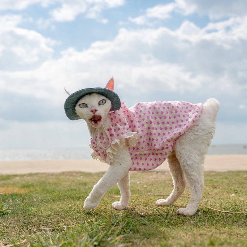 Cotton Heart Print Doll Shirt Loose Summer Vest Sphynx Cat Clothes - PIKAPIKA