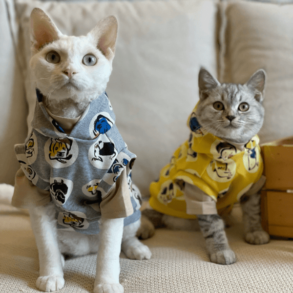 PIKAPIKA