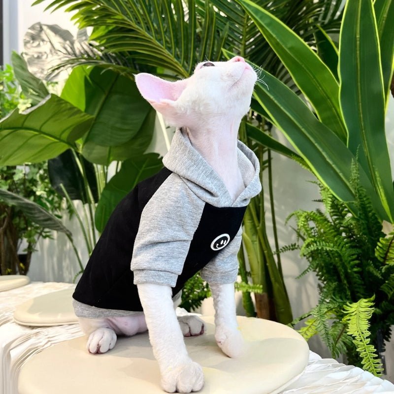 Cotton Hoodie Comfortable for Sphynx Cat Devon Rex Clothing - PIKAPIKA