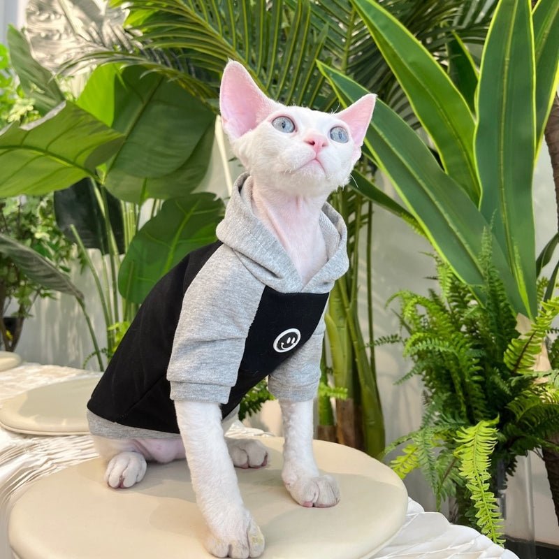 Cotton Hoodie Comfortable for Sphynx Cat Devon Rex Clothing - PIKAPIKA
