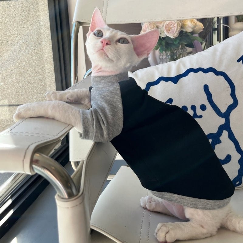 Cotton Hoodie Comfortable for Sphynx Cat Devon Rex Clothing - PIKAPIKA