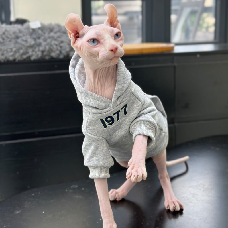 Cotton Hoodie for Sphynx Cat Warm Clothing - PIKAPIKA