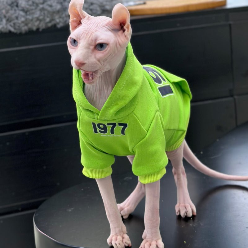 Cotton Hoodie for Sphynx Cat Warm Clothing - PIKAPIKA