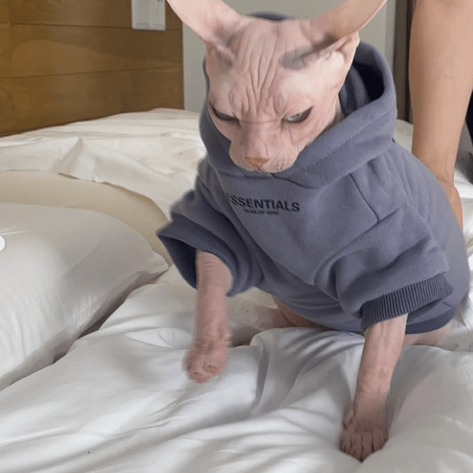 Cotton Hoodie Soft Casual Sphynx Cat Clothes - PIKAPIKA