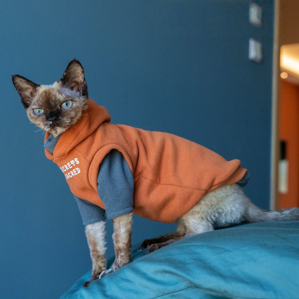 Cotton Hoodie Sphynx Cat Clothes Devon Rex Outfit - PIKAPIKA
