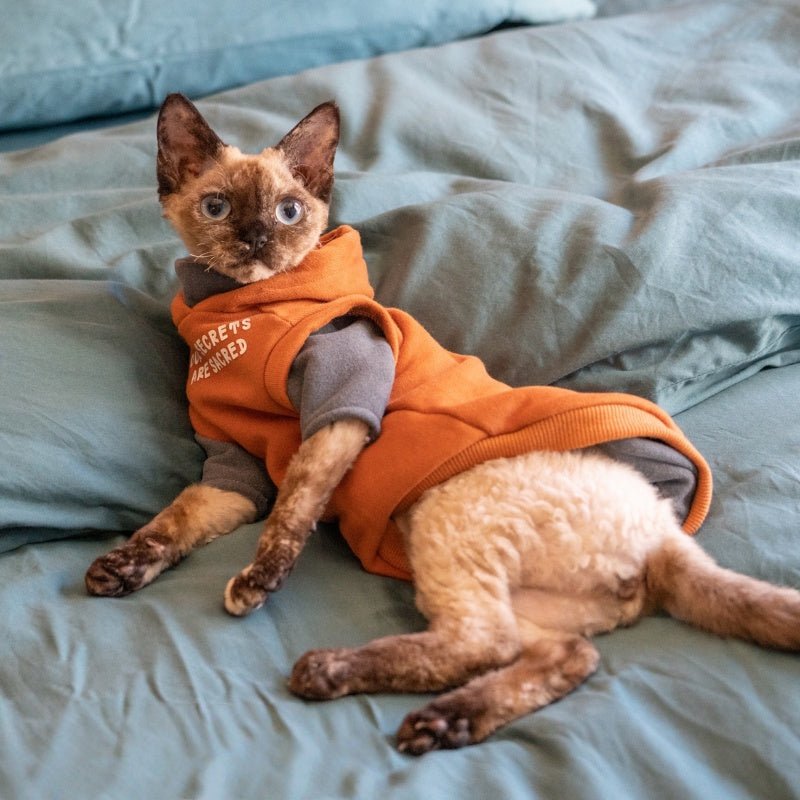 Cotton Hoodie Sphynx Cat Clothes Devon Rex Outfit - PIKAPIKA