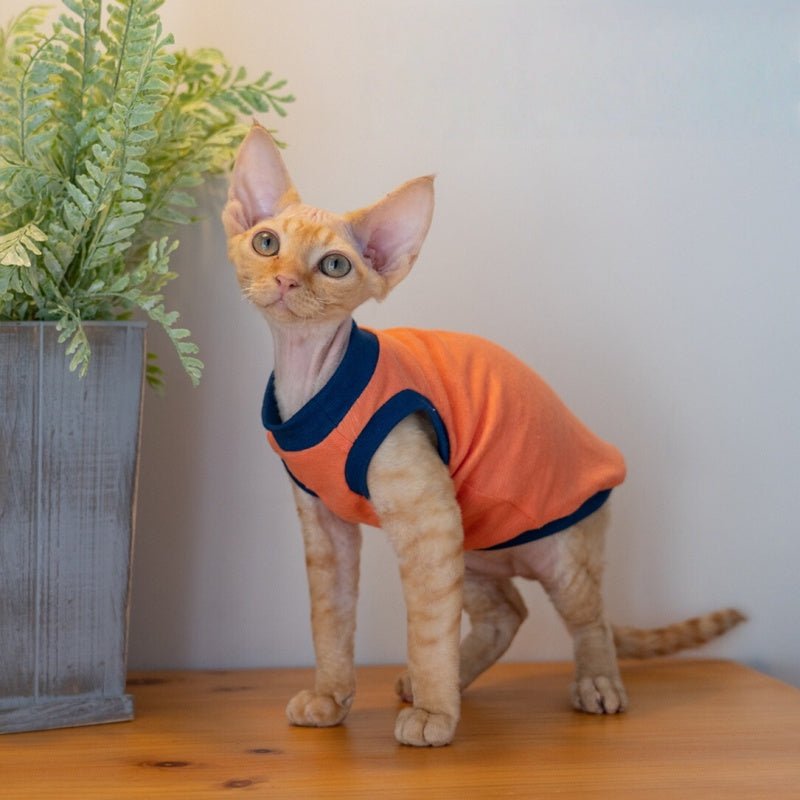 Cotton Lightweight Breathable Tank Tops Sphynx Cat Clothes Devon Rex Cornish Rex - PIKAPIKA