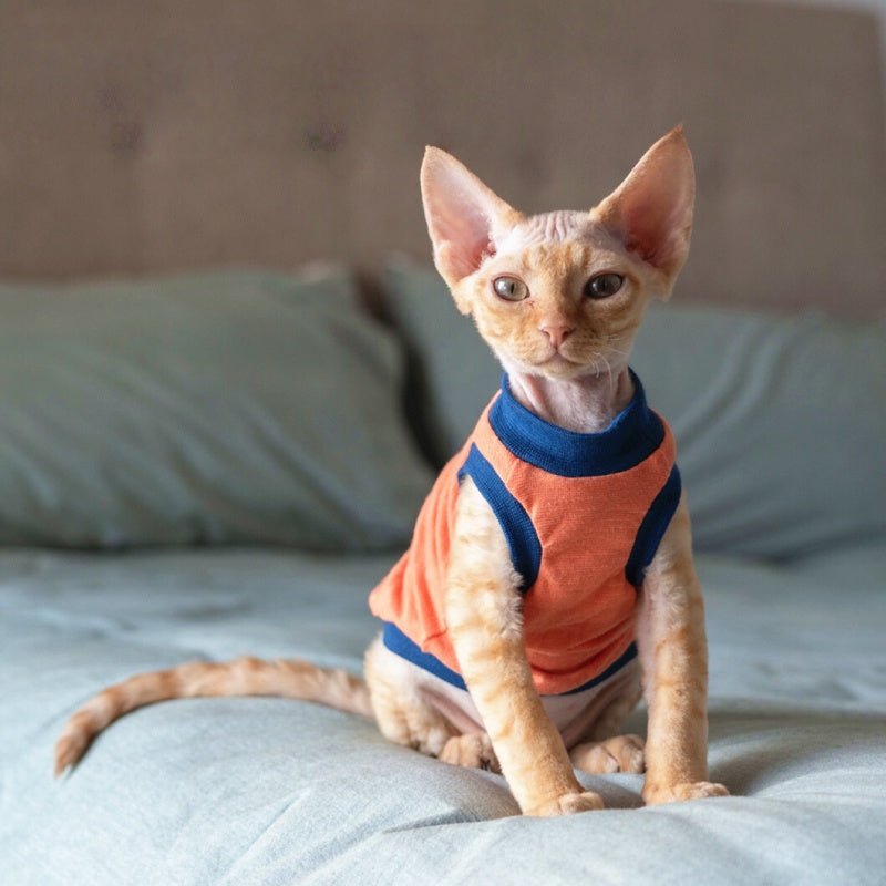 Cotton Lightweight Breathable Tank Tops Sphynx Cat Clothes Devon Rex Cornish Rex - PIKAPIKA
