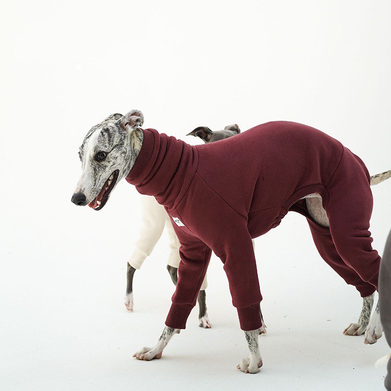 Cotton Onesie Italian Greyhound Whippet Dog Clothes - PIKAPIKA