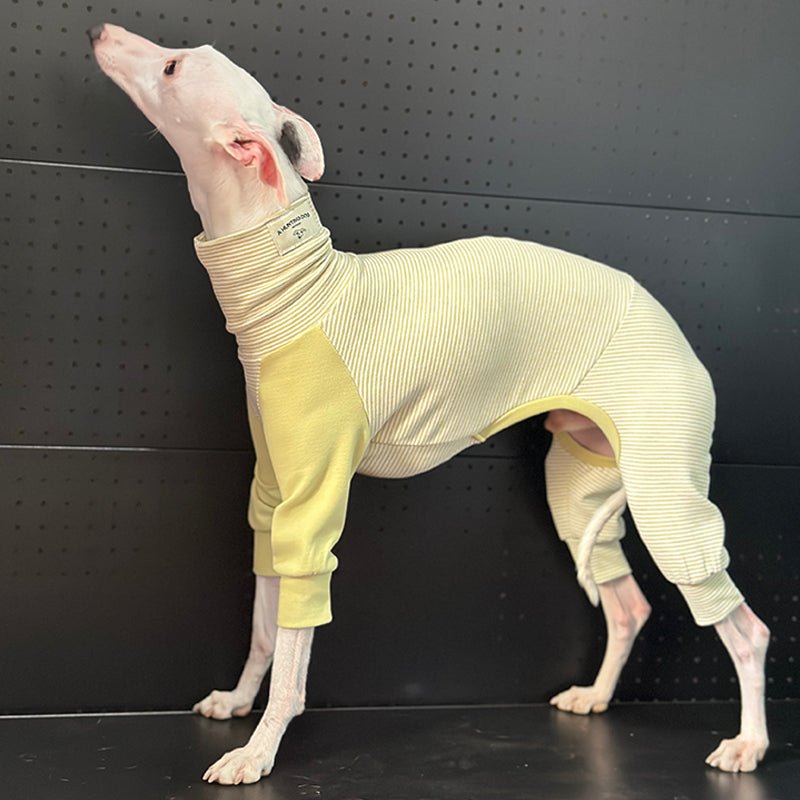 Cotton Onesie Stripe for Italian greyhound Whippet Dog Clothes - PIKAPIKA