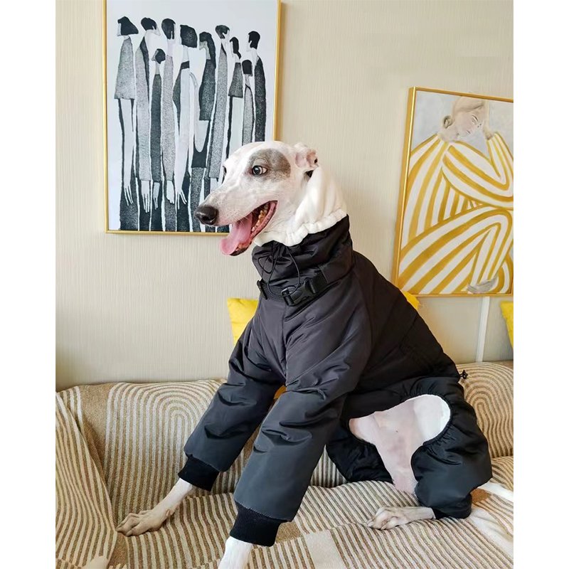 Cotton Padded Coat 4 Legs for Italian greyhound Whippet - PIKAPIKA