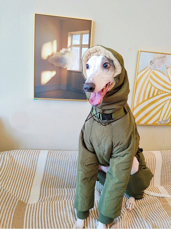 Cotton Padded Coat 4 Legs for Italian greyhound Whippet - PIKAPIKA
