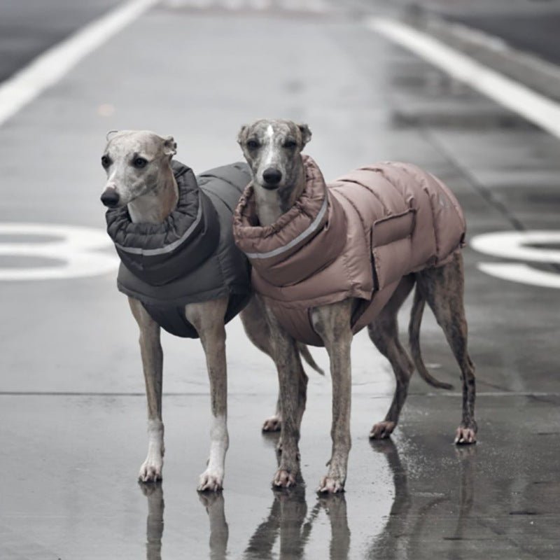 Cotton Padded Jacket Vest for Italian greyhound Whippet - PIKAPIKA