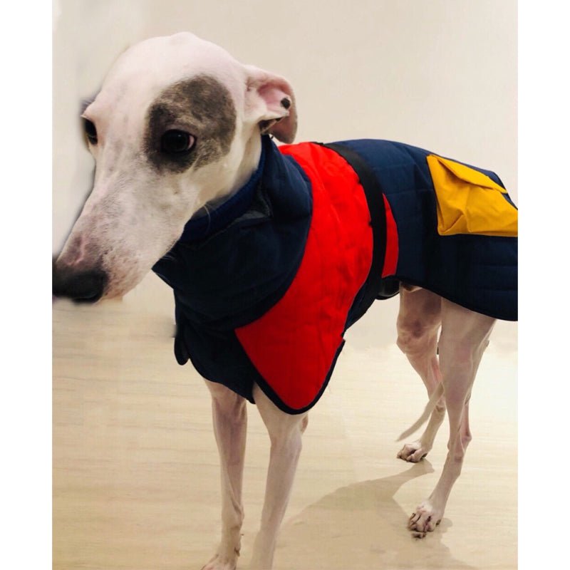 Cotton Padded Jacket Vest for Italian Greyhound Whippet - PIKAPIKA