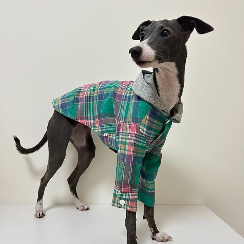 Cotton Plaid Shirt Hoodie for Italian Greyhound Whippet - PIKAPIKA