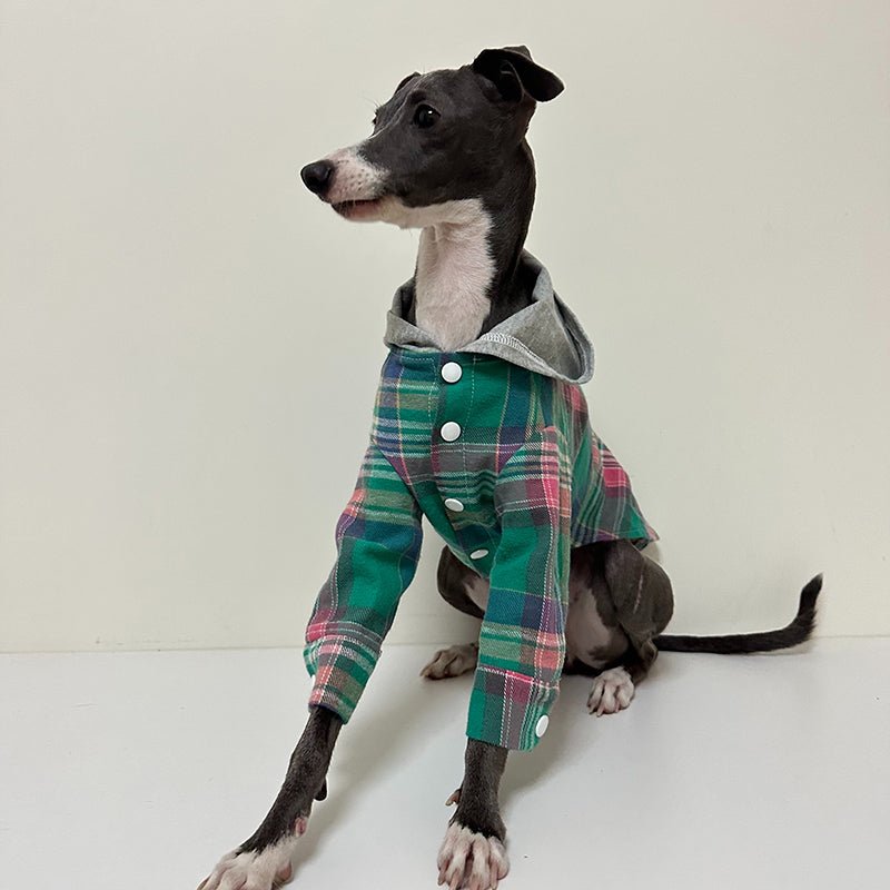 Cotton Plaid Shirt Hoodie for Italian Greyhound Whippet - PIKAPIKA