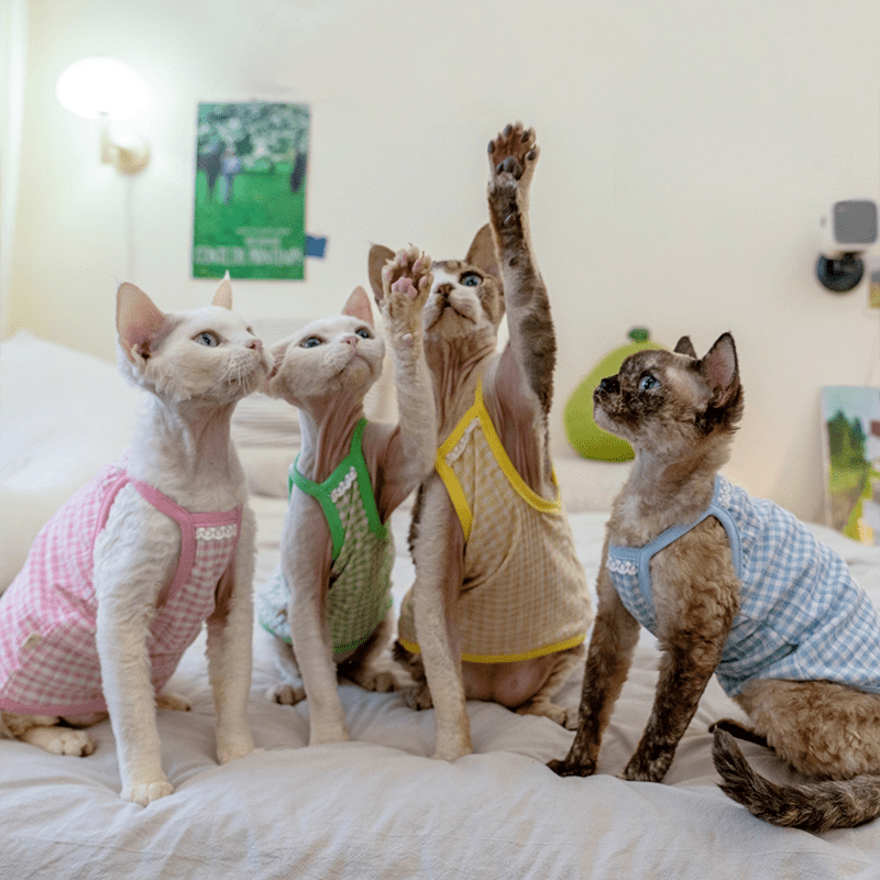 Cotton Plaid Tank Tops High Stretch Breathable Tank Sphynx Cat Clothes - PIKAPIKA