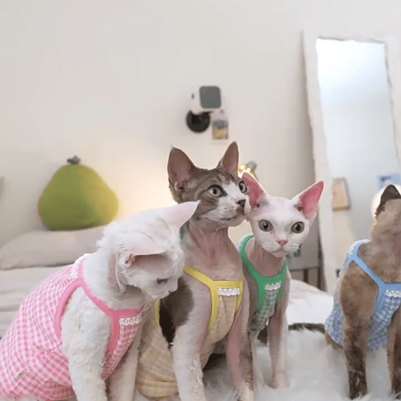Cotton Plaid Tank Tops High Stretch Breathable Tank Sphynx Cat Clothes - PIKAPIKA