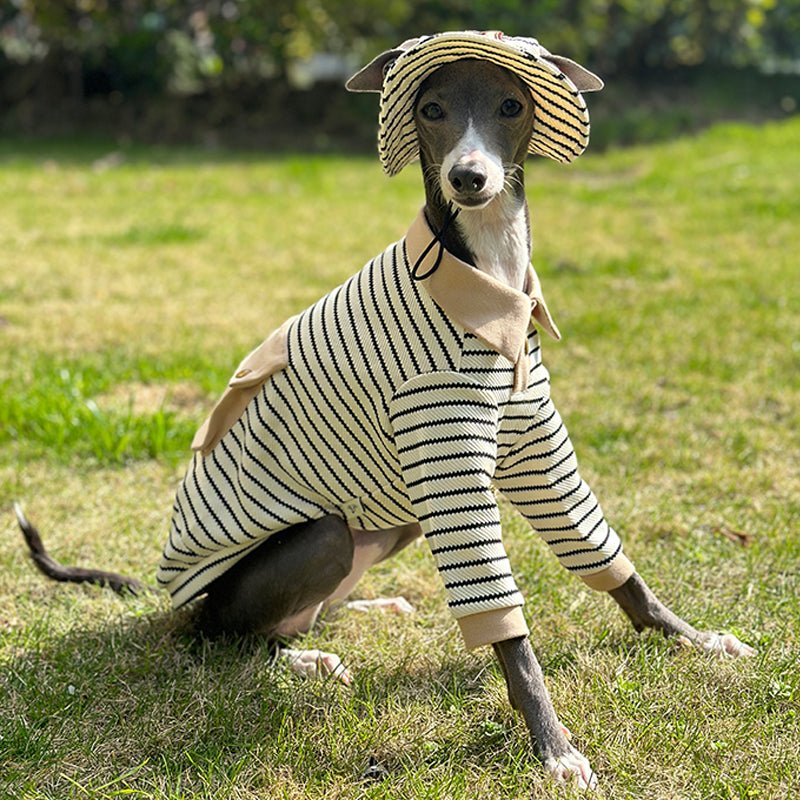 Cotton Polo Shirts for Italian greyhound Whippet Dog Clothes - PIKAPIKA