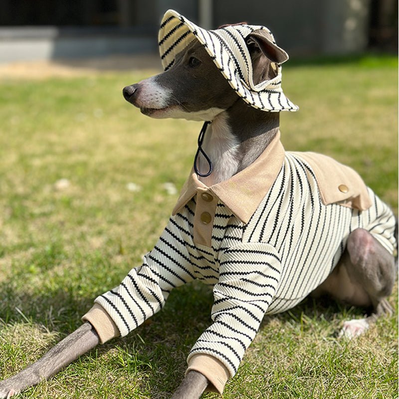 Cotton Polo Shirts for Italian greyhound Whippet Dog Clothes - PIKAPIKA
