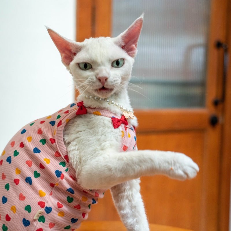 Cotton Ribbed Bow Tank Tops for Sphynx & Devon Cats - PIKAPIKA