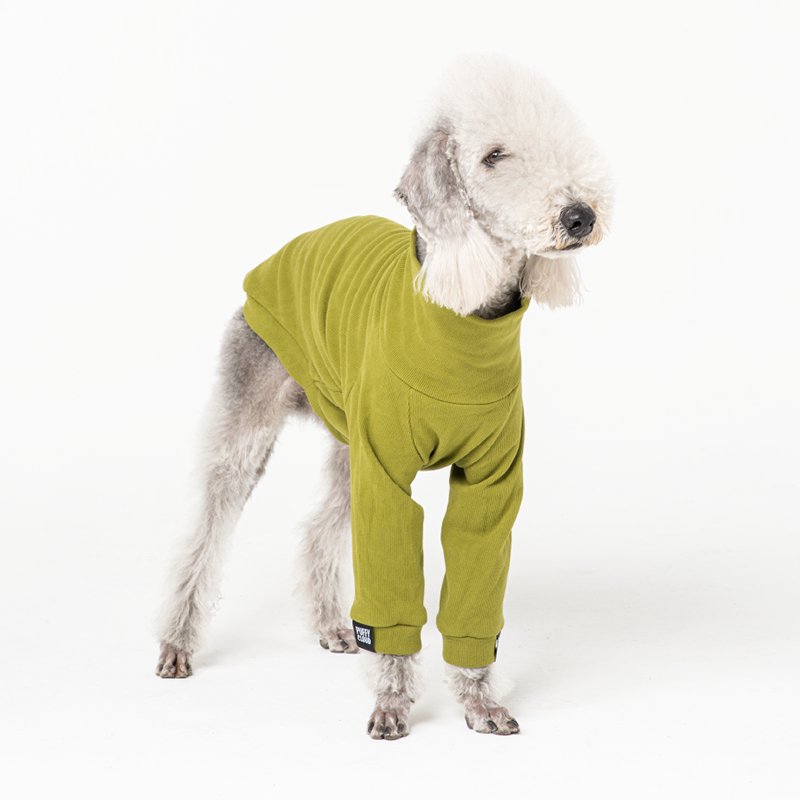 Cotton Shirt Bedlington Dog Clothes - PIKAPIKA