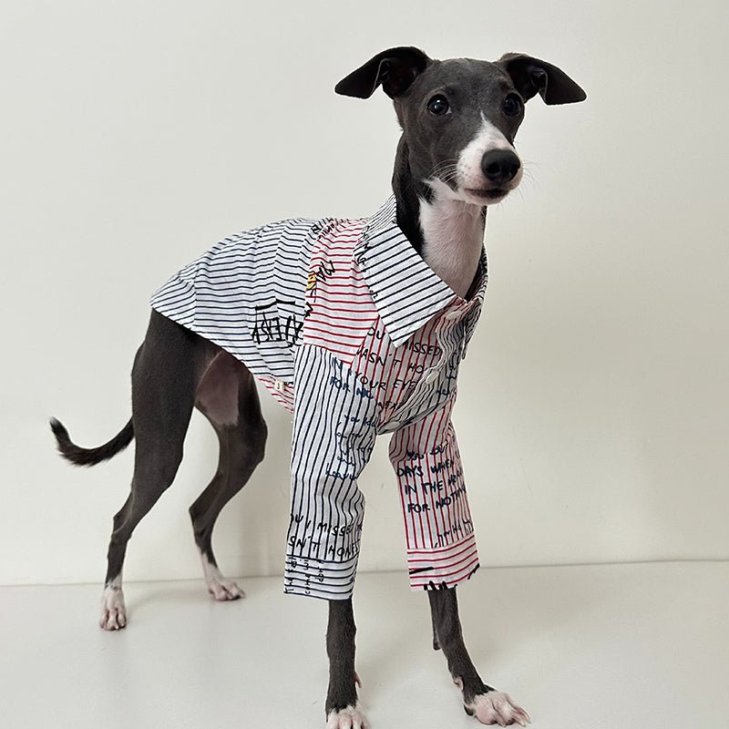 Cotton Shirt for Italian Greyhound Whippet - PIKAPIKA