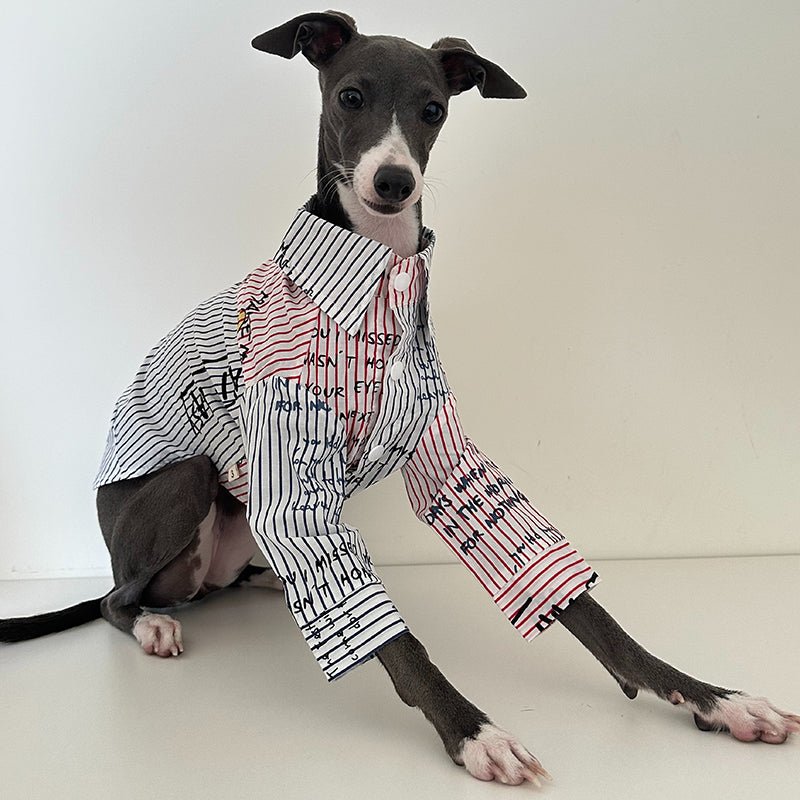 Cotton Shirt for Italian Greyhound Whippet - PIKAPIKA