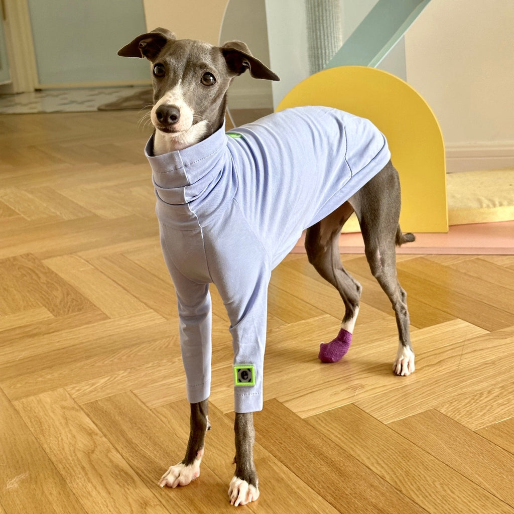 Italian Greyhound & Whippet Clothes / Iggy Clothes / Dog Hoodie / Stripes  Dog Clothes / Ropa Para Galgo Italiano Whippet / PINK 
