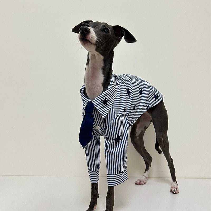 Cotton Shirts with Tie for Italian Greyhound Whippet - PIKAPIKA