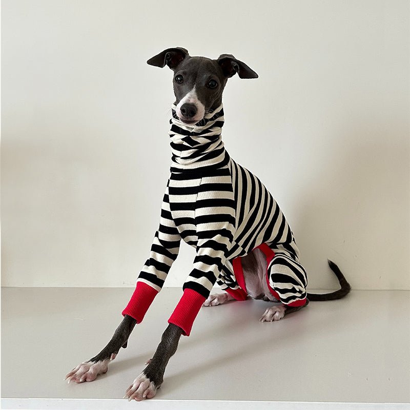 Cotton Stripe Onesie for Italian Greyhound Whippet Dog Clothes