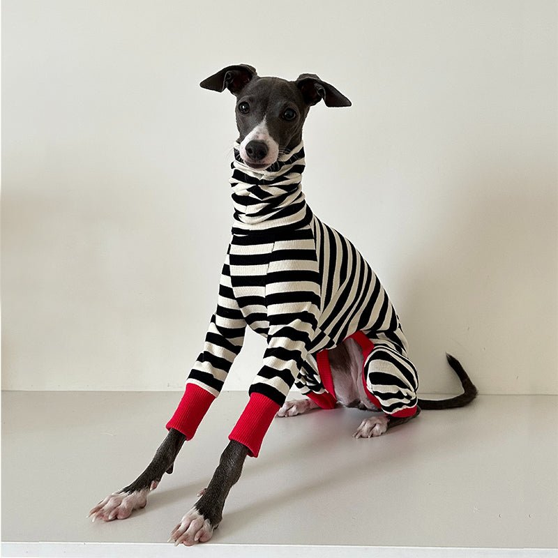 Cotton Stripe Onesie for Italian Greyhound Whippet Dog Clothes - PIKAPIKA