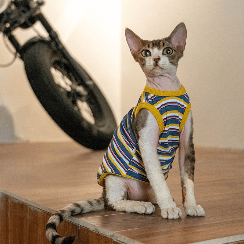 Cotton Striped Vest Elastic Sleeveless Tank Sphynx Cat Clothes - PIKAPIKA