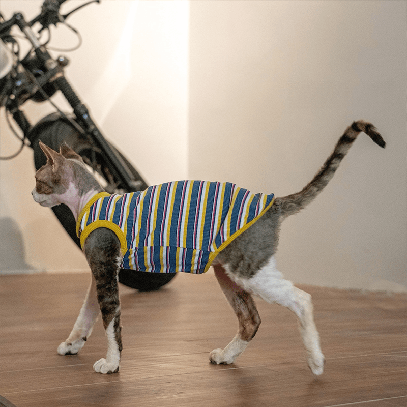 Cotton Striped Vest Elastic Sleeveless Tank Sphynx Cat Clothes - PIKAPIKA