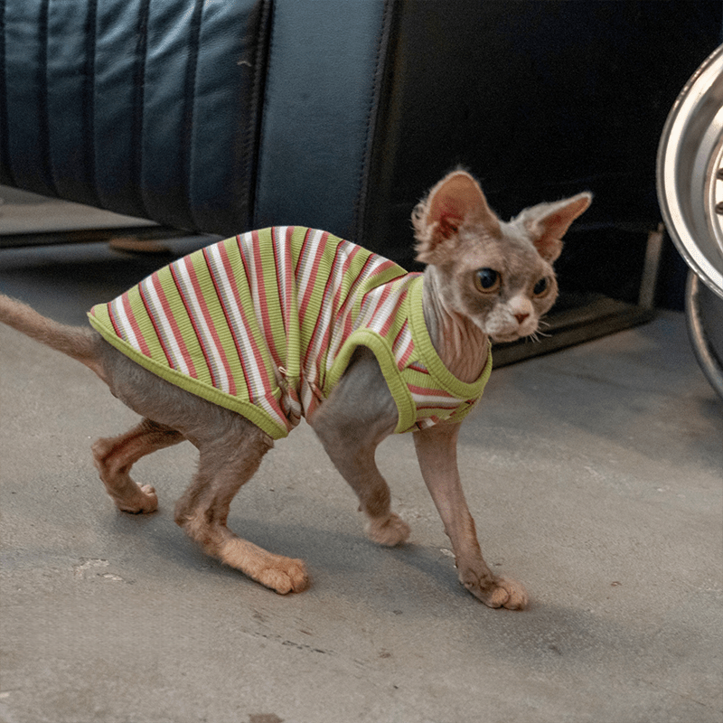 Cotton Striped Vest Elastic Sleeveless Tank Sphynx Cat Clothes - PIKAPIKA