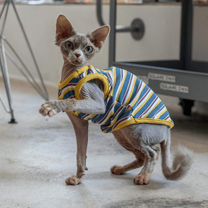 Cotton Striped Vest Elastic Sleeveless Tank Sphynx Cat Clothes - PIKAPIKA