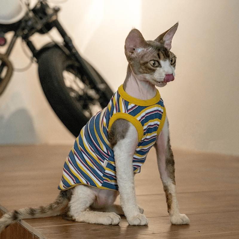 Cotton Striped Vest Elastic Sleeveless Tank Sphynx Cat Clothes - PIKAPIKA